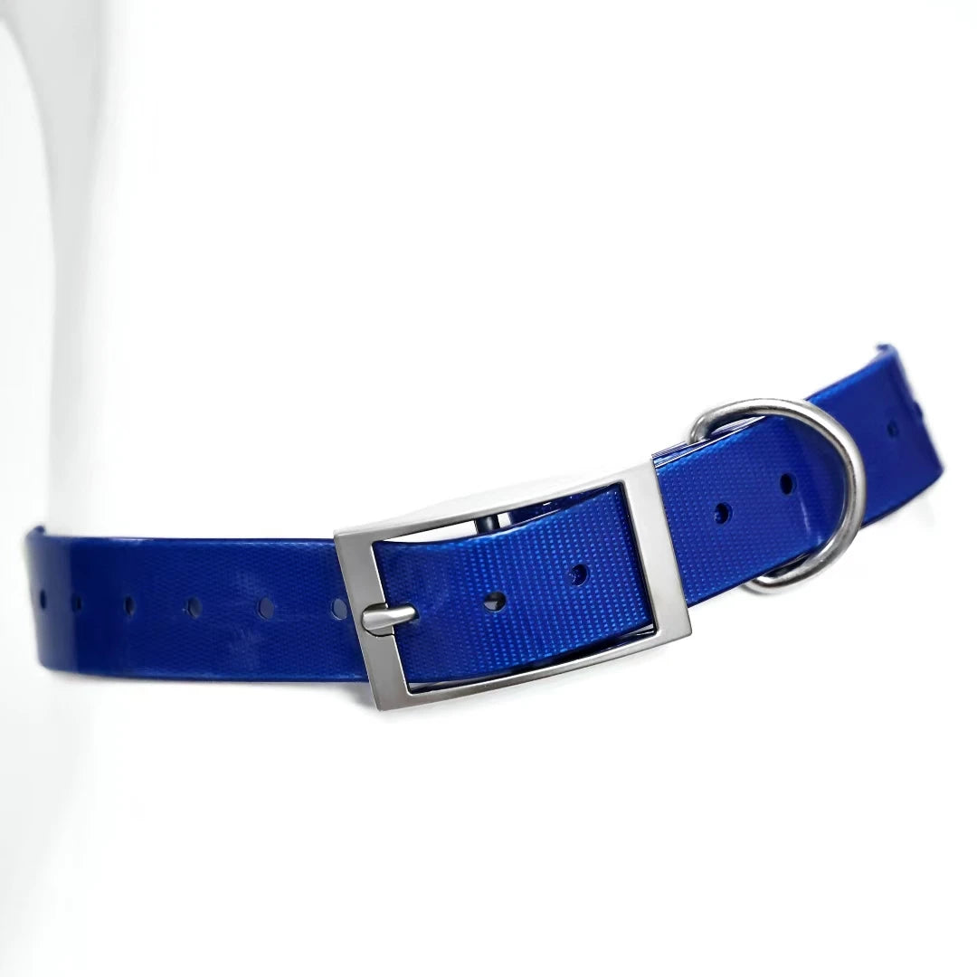 Heavy Duty Waterproof TPU Dog Collar – Adjustable, 8 Colors