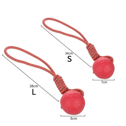 Rubber Dog Ball Toy – Bite-Resistant Solid Ball for Puppies & Large Dogs (S–XL)