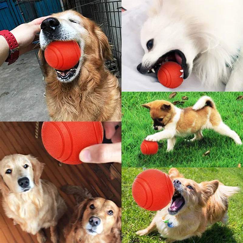 Rubber Dog Ball Toy – Bite-Resistant Solid Ball for Puppies & Large Dogs (S–XL)