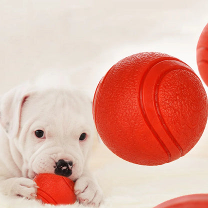 Rubber Dog Ball Toy – Bite-Resistant Solid Ball for Puppies & Large Dogs (S–XL)