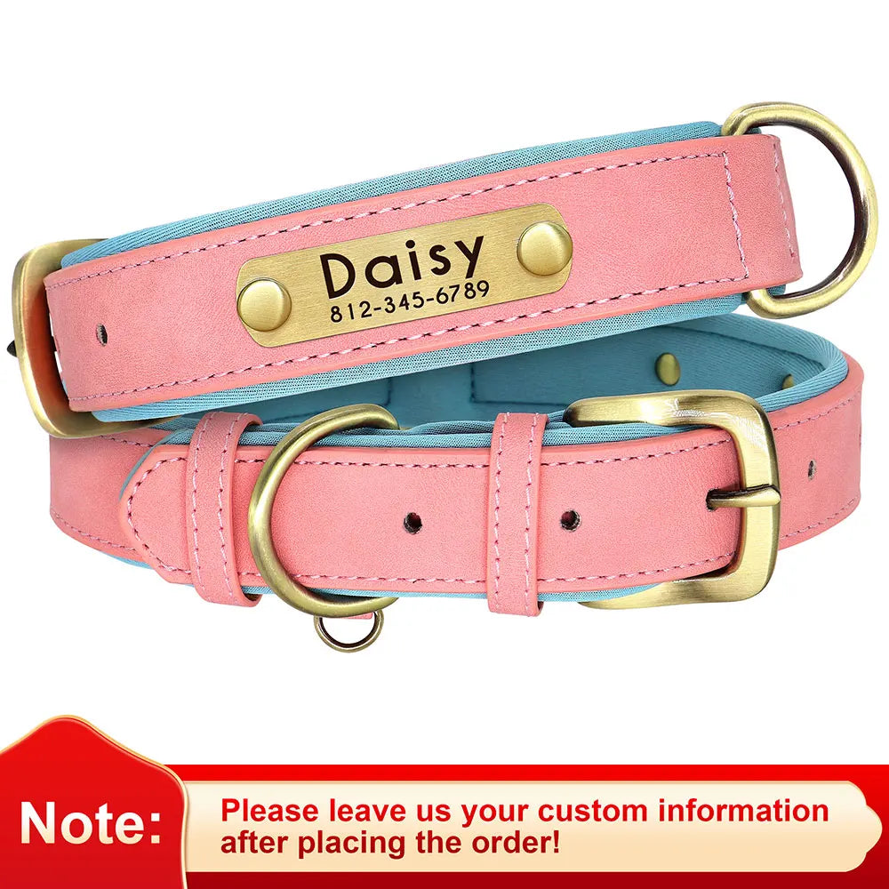 Personalized Leather Dog Collar with Engraved Nameplate