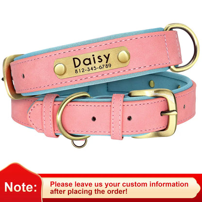 Personalized Leather Dog Collar with Engraved Nameplate