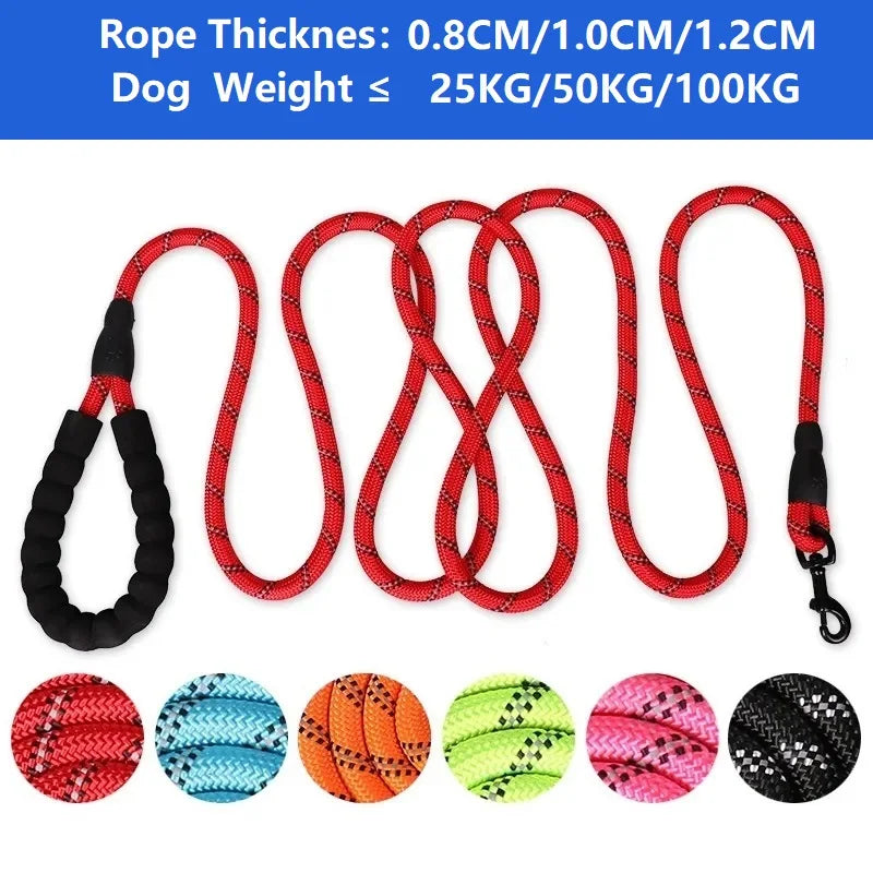 Strong Dog Leash with Soft Handle – Multiple Sizes & Colors