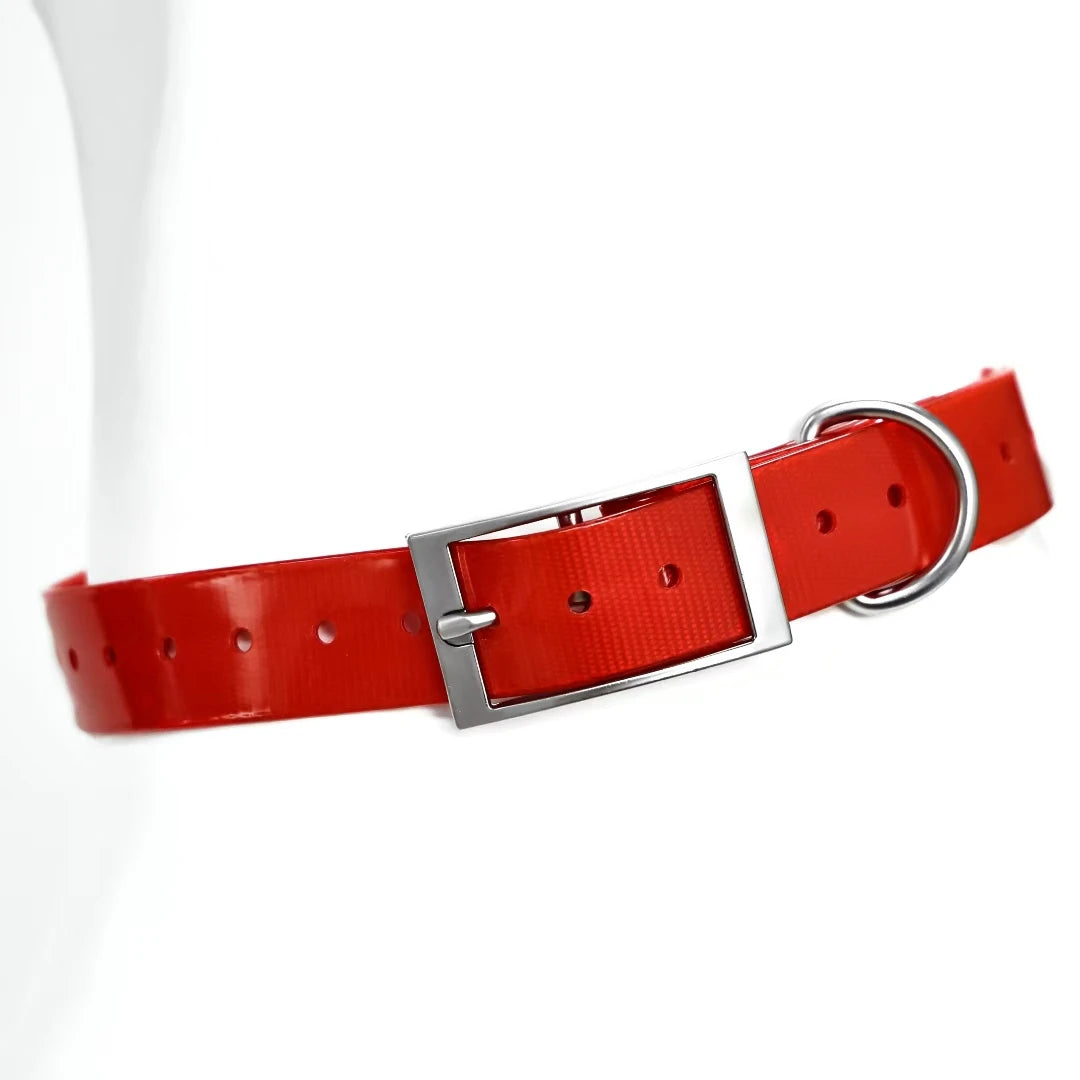 Heavy Duty Waterproof TPU Dog Collar – Adjustable, 8 Colors