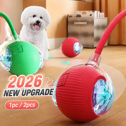 Interactive Rolling Ball Toy for Dogs & Cats – Rechargeable with Sound