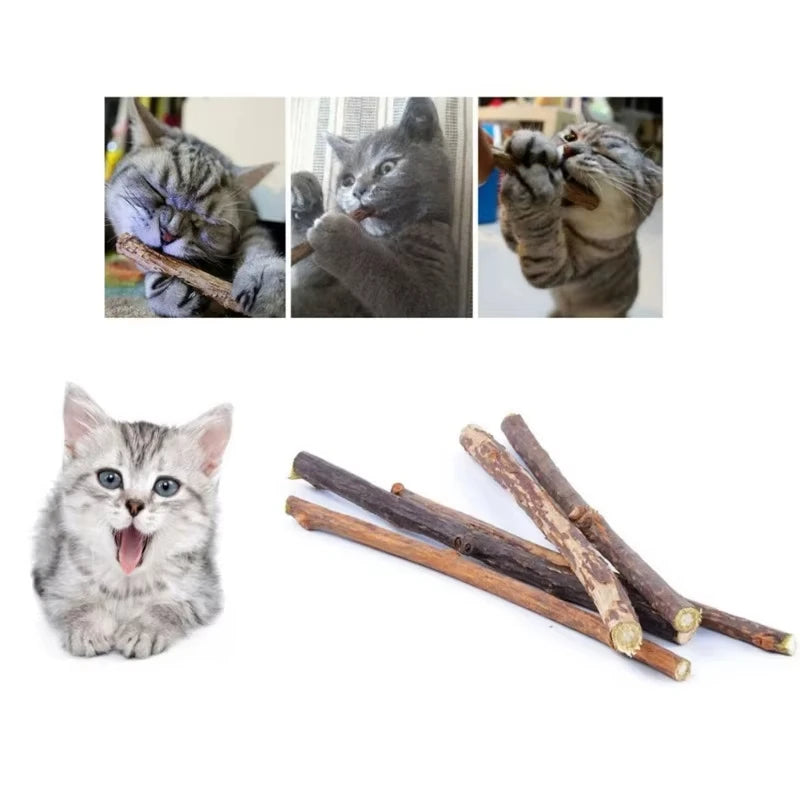 Catnip Chew Sticks – Natural Matatabi Teeth Cleaning Cat Toy (20 Pcs)