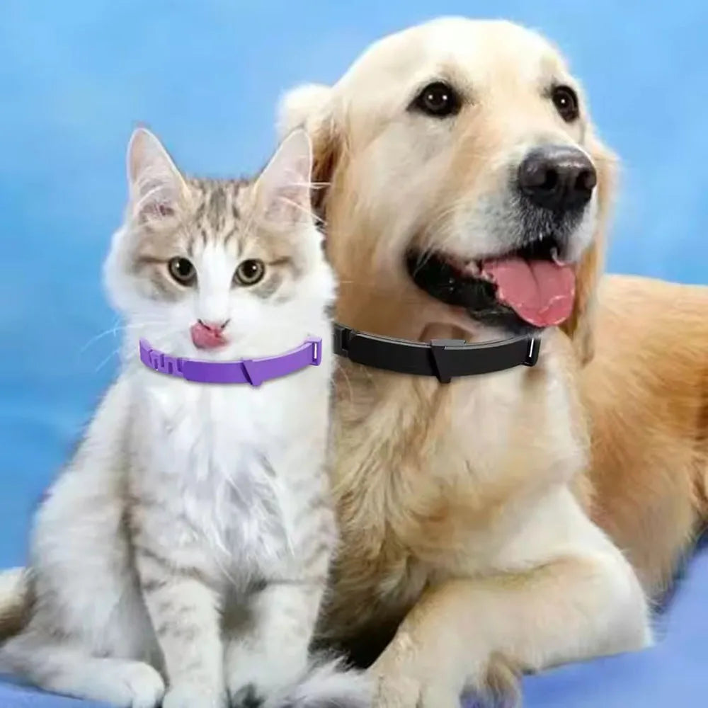 Adjustable Waterproof Pet Collar for Cats & Dogs