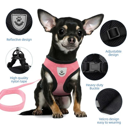 Breathable Mesh Cat & Dog Harness with Leash – Adjustable Reflective Vest