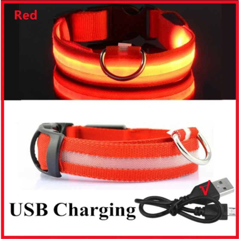 LED USB Rechargeable Dog & Cat Collar – 3 Light Modes, Night Safety