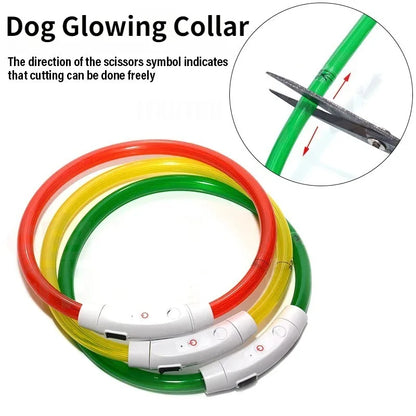 LED Fiber Optic Dog Collar – Rechargeable Glowing Safety Collar