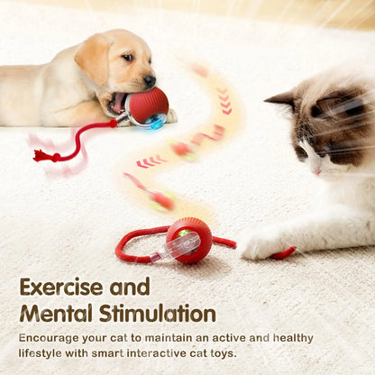 Interactive Cat Ball Toy – Automatic Rolling Ball with Plush Cover & Tail
