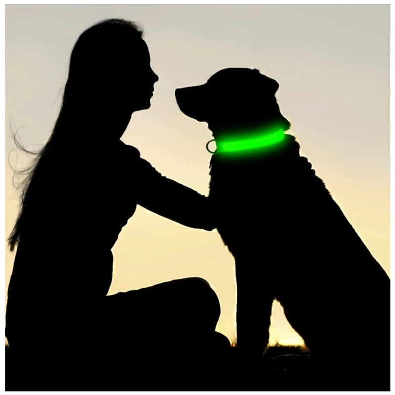 LED USB Rechargeable Dog & Cat Collar – 3 Light Modes, Night Safety