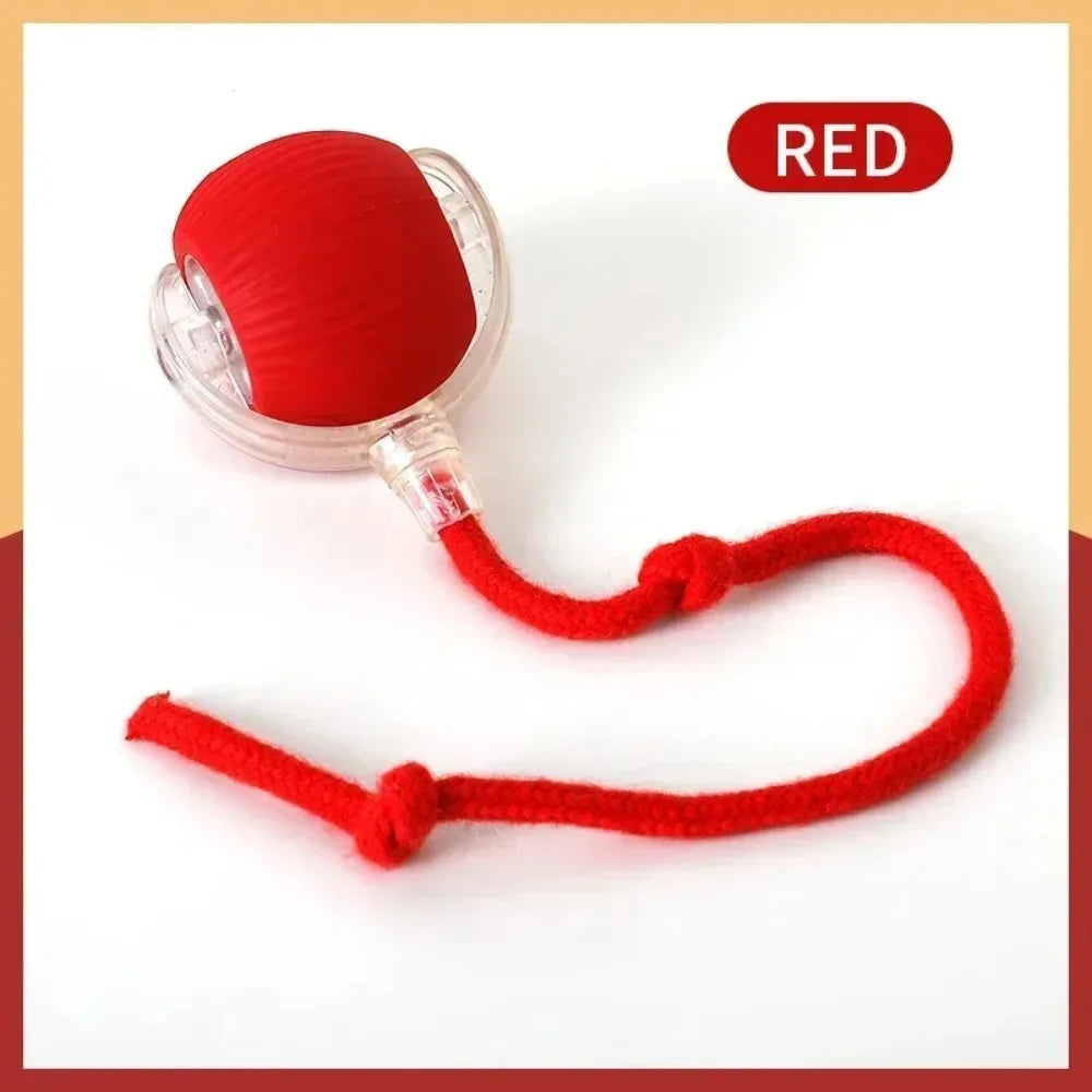Interactive Pet Ball Toy – Auto-Rolling, Rechargeable, Faux Tail