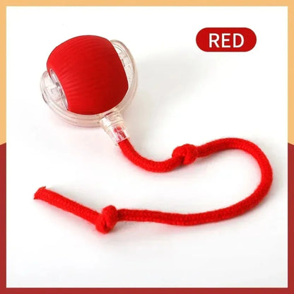 Interactive Pet Ball Toy – Auto-Rolling, Rechargeable, Faux Tail