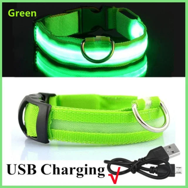 LED Dog Collar – USB Rechargeable Flashing Safety Light