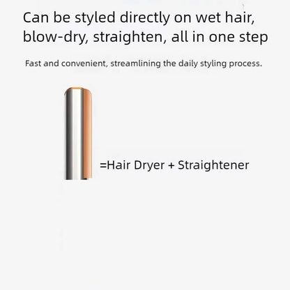 2-in-1 Hair Dryer & Straightener with Negative Ion Technology