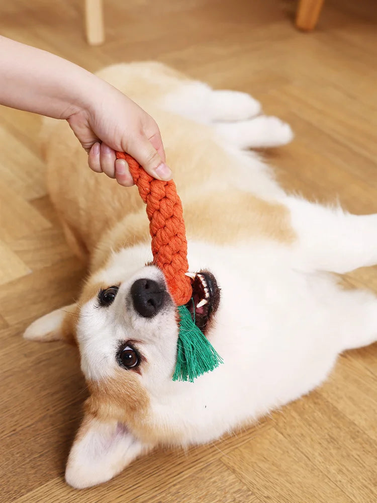 Carrot Cotton Rope Chew Toy for Small Dogs & Puppies