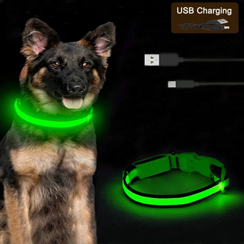 LED USB Rechargeable Dog & Cat Collar – 3 Light Modes, Night Safety
