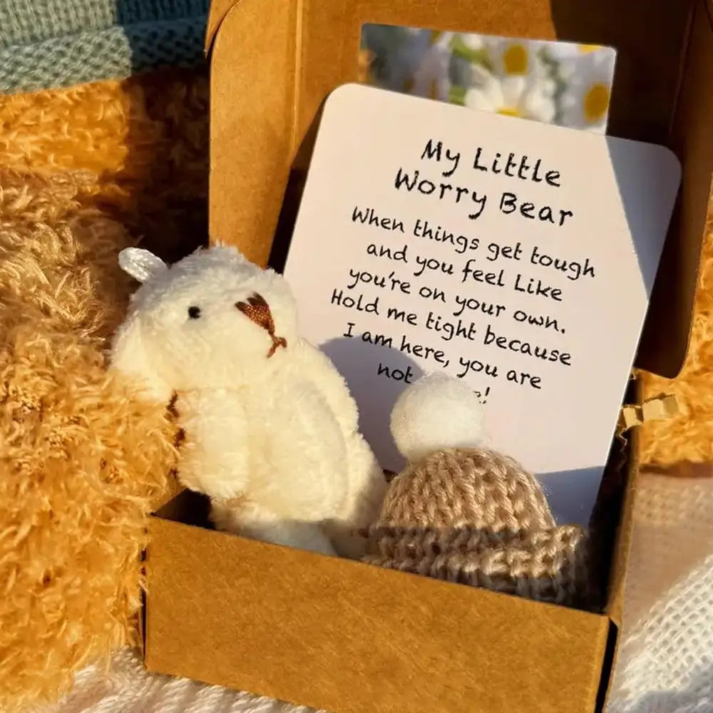 Pocket Worry Bear with Inspirational Card – Mini Plush Gift Box