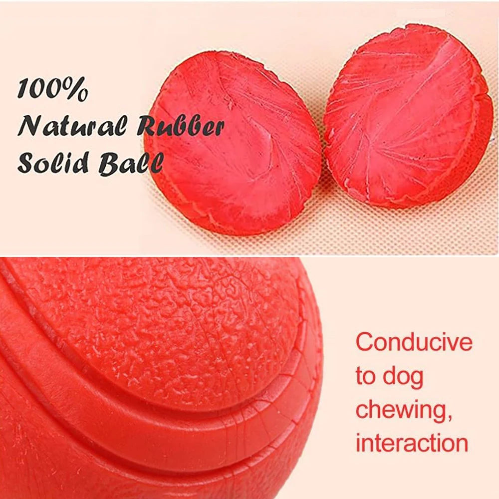 Rubber Dog Ball Bite-Resistant Fetch & Training Toy