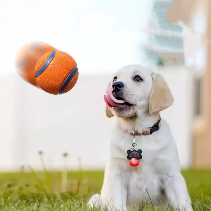 Tough Chew-Proof Dog Fetch Ball for All Breed Sizes