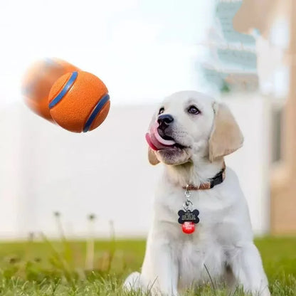 Tough Chew-Proof Dog Fetch Ball for All Breed Sizes