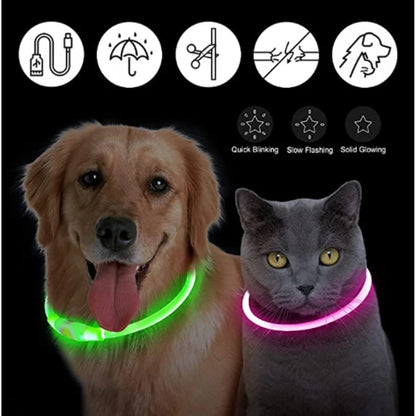 LED Dog Collar USB Rechargeable Glowing Safety Collar