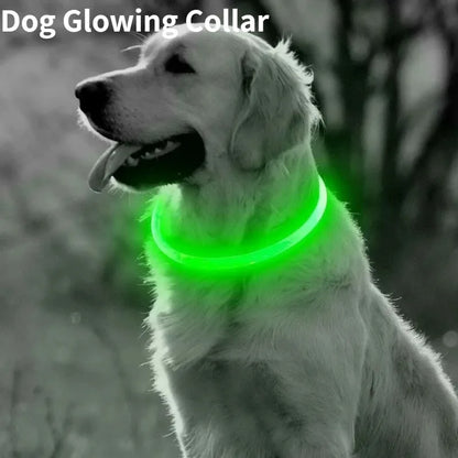LED Fiber Optic Dog Collar – Rechargeable Glowing Safety Collar