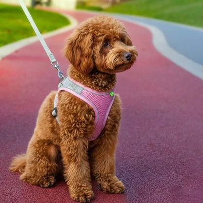 Mesh Dog Harness & Leash Set – Reflective, Escape-Proof Walking Vest