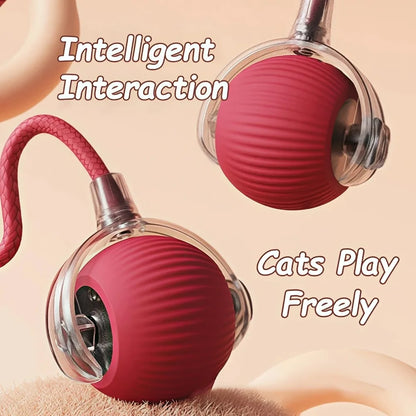 Interactive Pet Ball Toy – Auto-Rolling, Rechargeable, Faux Tail