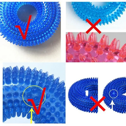 Squeaky Dog Chew Ring Toy – Bite-Resistant Teeth Cleaner