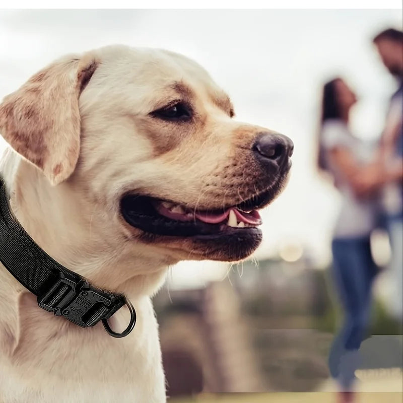 Tactical Dog Collar – Adjustable Military Training Nylon Collar with Metal Buckle