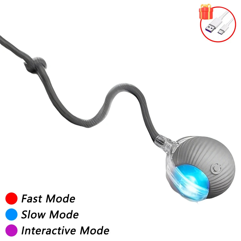 Automatic Cat Ball Toy – Smart Sensor Self-Moving Rechargeable
