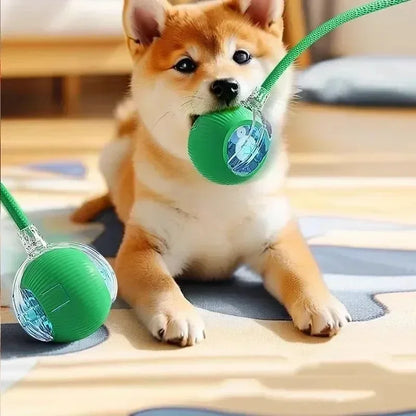 Interactive Rolling Ball Cat Toy with Tail – Rechargeable Smart Pet Toy