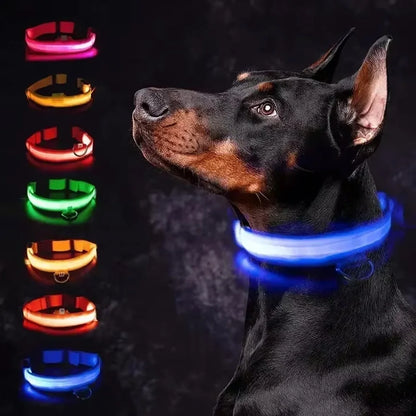 LED Dog Collar – USB Rechargeable Flashing Safety Light
