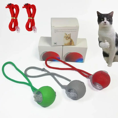 Interactive Rolling Ball Cat Toy with Tail – Rechargeable Smart Pet Toy