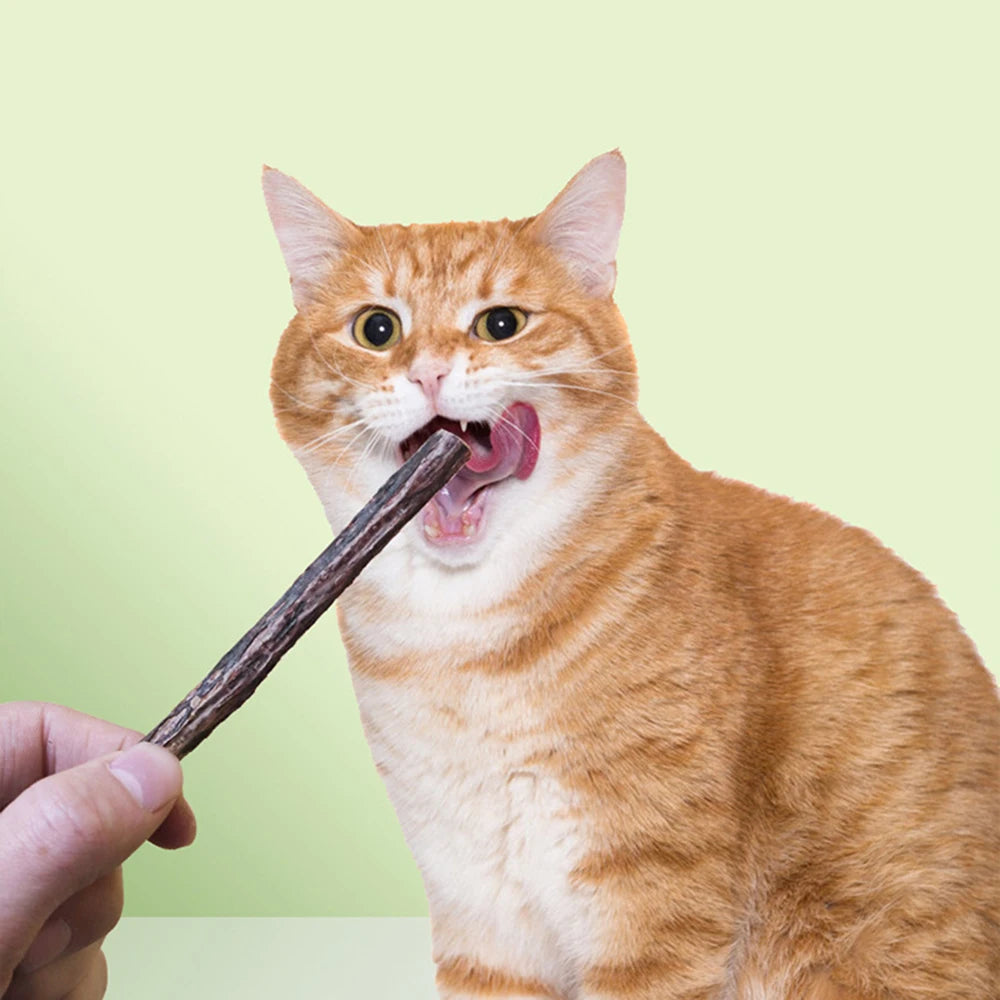 Cat Catnip Matatabi Chew Sticks – Natural Molar Dental Treat