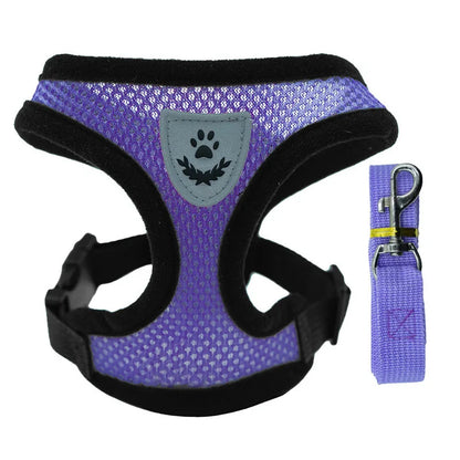 Adjustable Mesh Pet Harness Vest with Leash – Dog & Cat