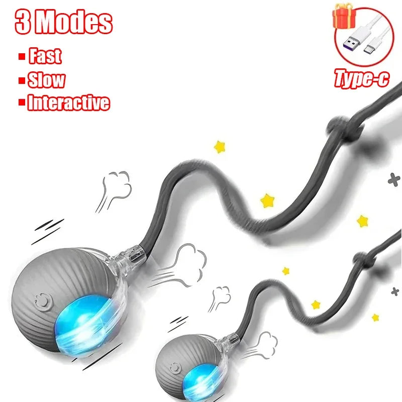 Interactive Rolling Ball Cat Toy with Tail – Rechargeable Smart Pet Toy