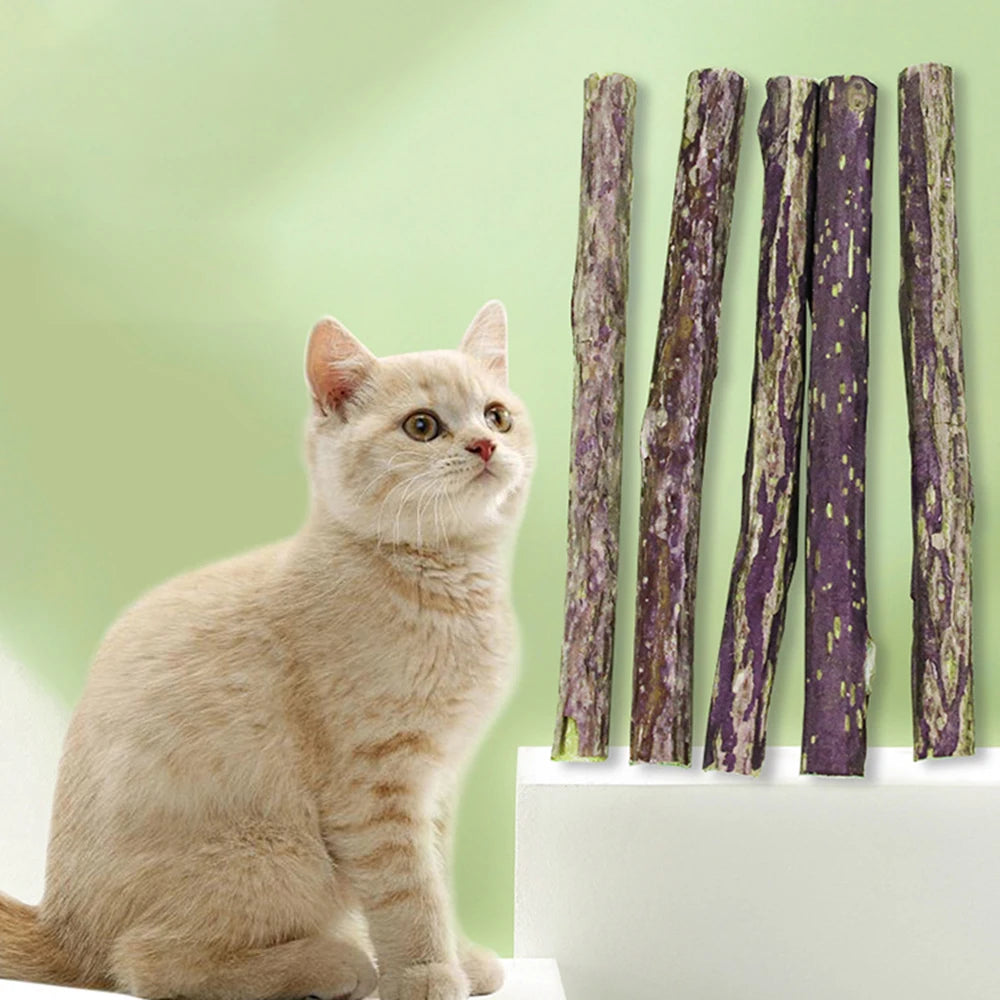 Cat Catnip Matatabi Chew Sticks – Natural Molar Dental Treat
