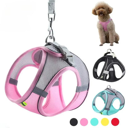 Small Dog Harness & Leash Set – Adjustable Mesh Vest with Reflective Strips