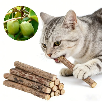 Catnip Chew Sticks – Natural Matatabi Teeth Cleaning Cat Toy (20 Pcs)