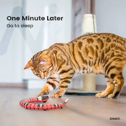 Interactive Snake Cat Toy – Smart Sensing Automatic USB Rechargeable