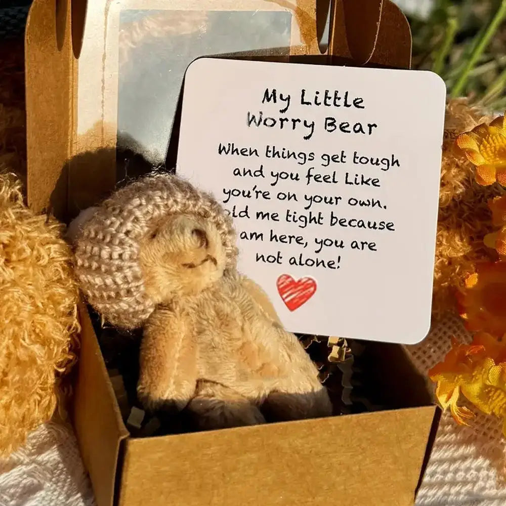 Pocket Worry Bear with Inspirational Card – Mini Plush Gift Box