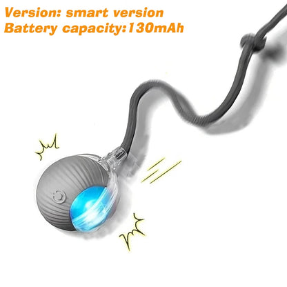 Cat Interactive Ball Toy – Auto-Rolling Rechargeable Smart Ball with Tail
