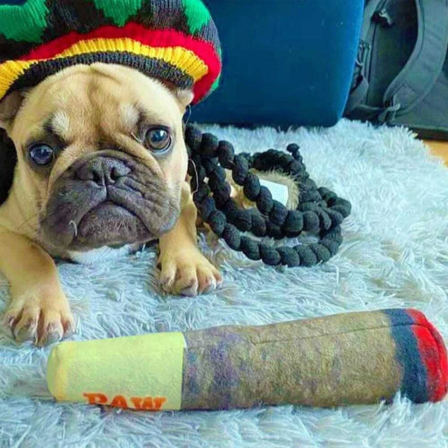Cigar Design Squeaky Dog Toy - Funny Plush Chew Toy for Small Dogs