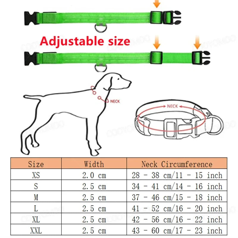 LED USB Rechargeable Dog & Cat Collar – 3 Light Modes, Night Safety