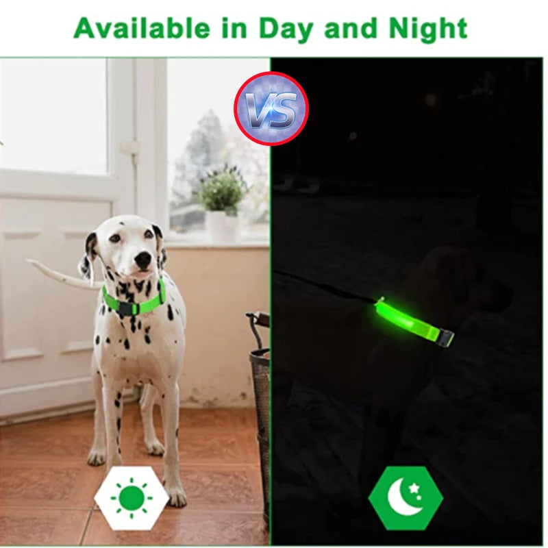 LED Dog Collar USB Rechargeable Glowing Safety Collar