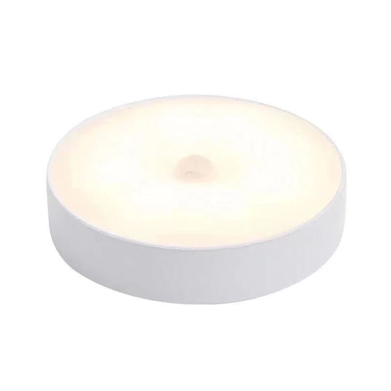 Homefish Motion Sensor Led Night Light Usb Rechargeable Wireless Closet Lamp Kitchen Cabinet