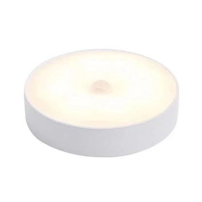 Homefish Motion Sensor Led Night Light Usb Rechargeable Wireless Closet Lamp Kitchen Cabinet